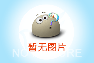 建筑預(yù)制構(gòu)件吊裝用鋼絲繩電動葫蘆